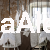 SKRZYDŁA.png