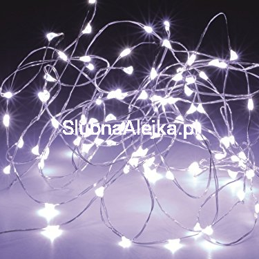 Lampki micro led zimne.jpg