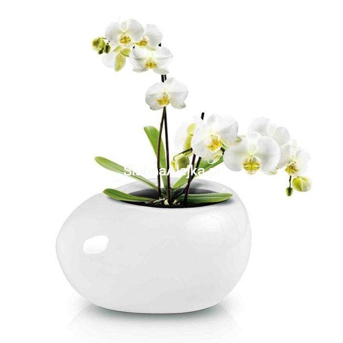 donica ceramiczna Dolce Vita.jpg