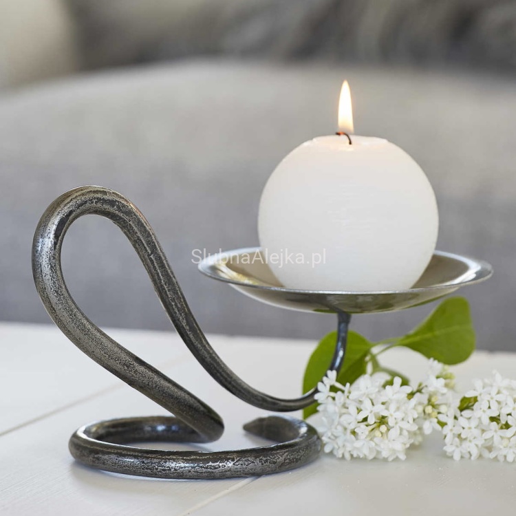 SWIECA KULA BIAŁA.jpg