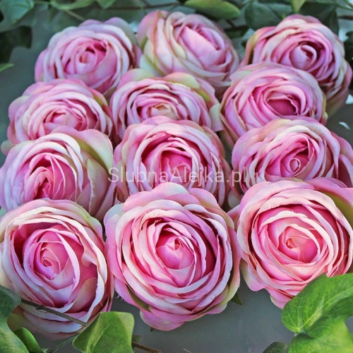 GŁÓWKI RÓŻ RÓŻOWE 12 szt. .jpg