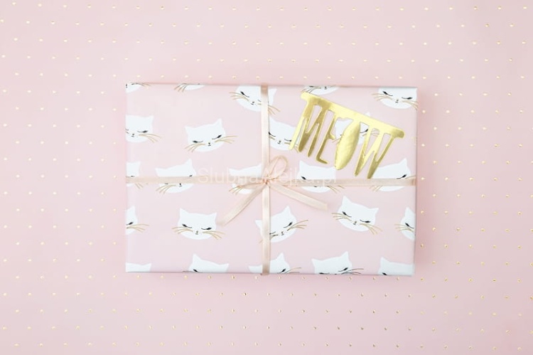 papier kotek meow.jpg