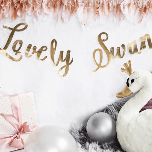 baner lovely swan.jpg