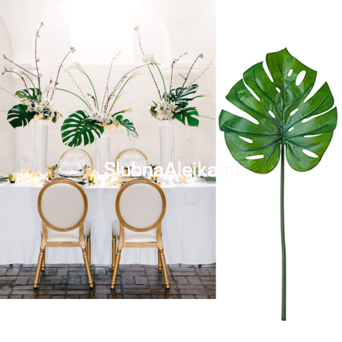 monstera8.jpg