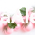 monstera2.jpg