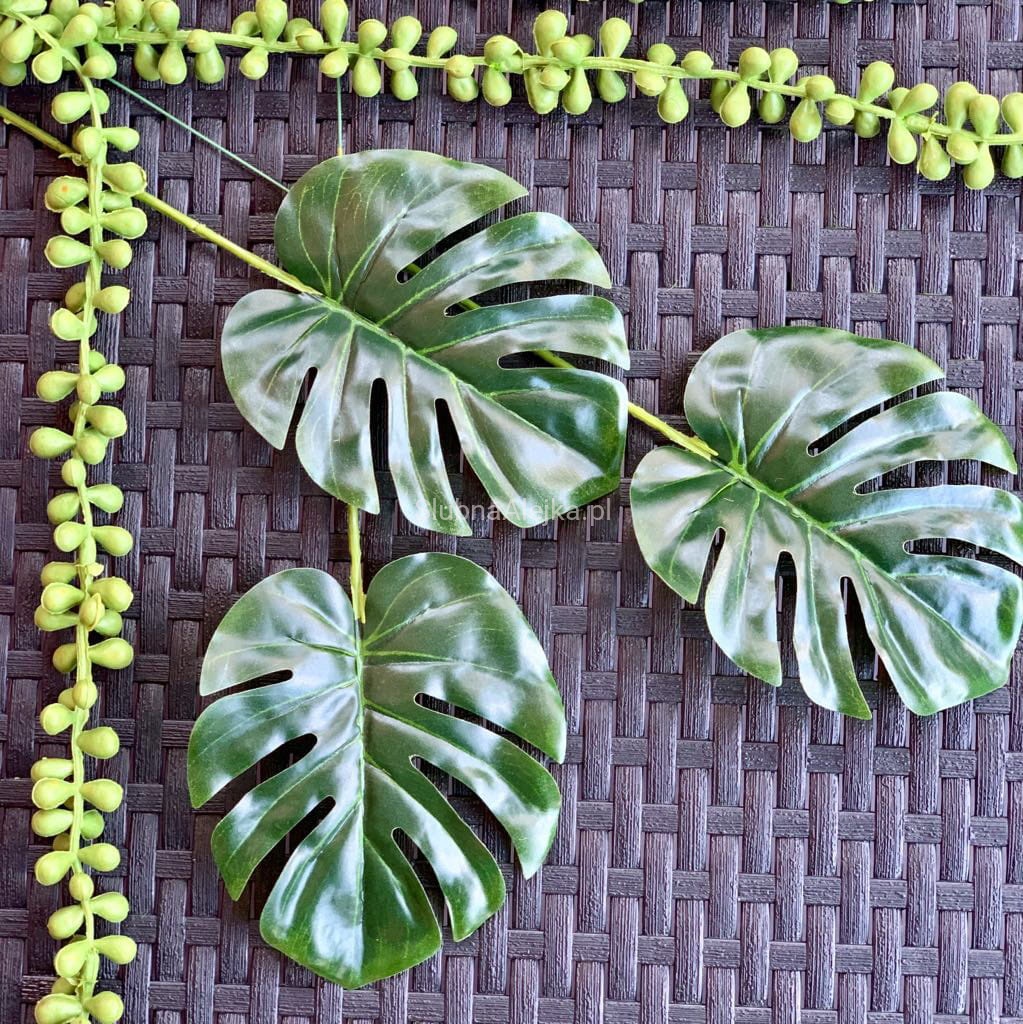Licie Dekoracyjne Monstera Mini 30cm 12szt. - Hurtownia lubna Alejka