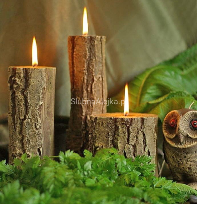 swieca sosnowy pniak.jpg