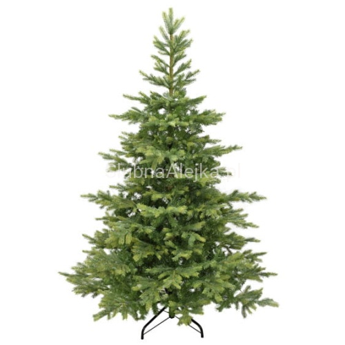 choinka świerk natura.jpg