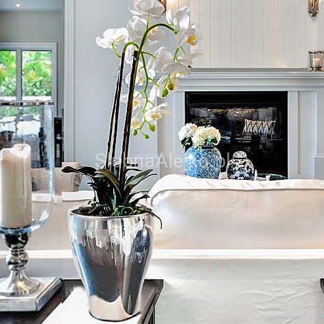 donica storczykówka silver galw.jpg