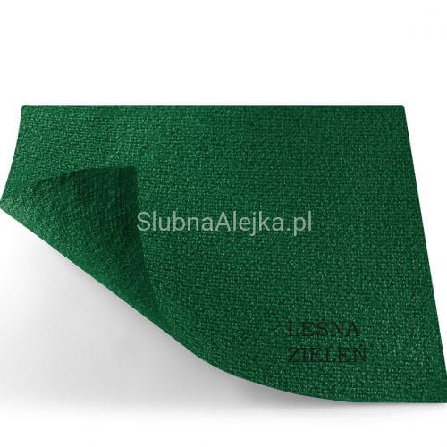 DYWAN AK6609 LEŚNA ZIELEŃ.jpg
