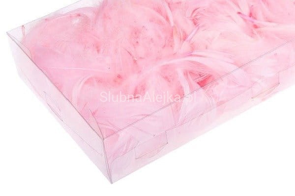 piorka dekoracyjne 50 g.jpg