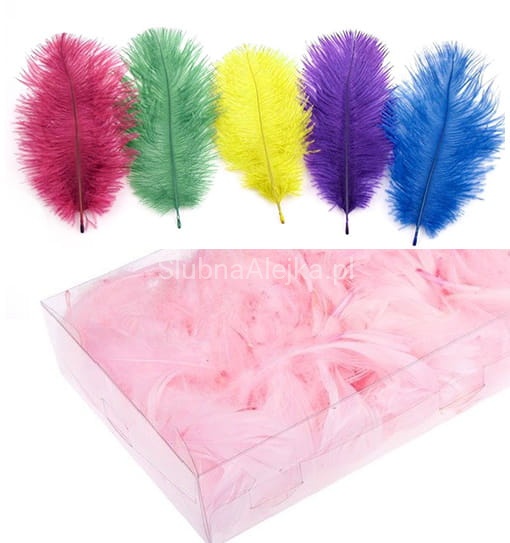 piorka dekoracyjne 50gram.jpg