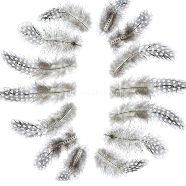 piorka perliczki 15 gram.jpg