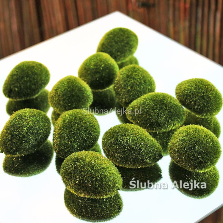 kamienie z mchu 12 szt.jpg