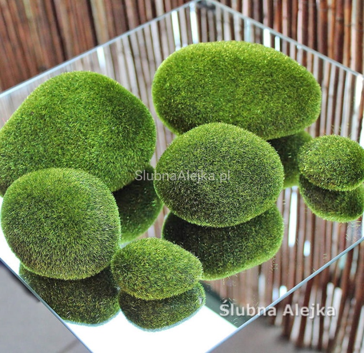 kamienie z mchu 6szt.jpg