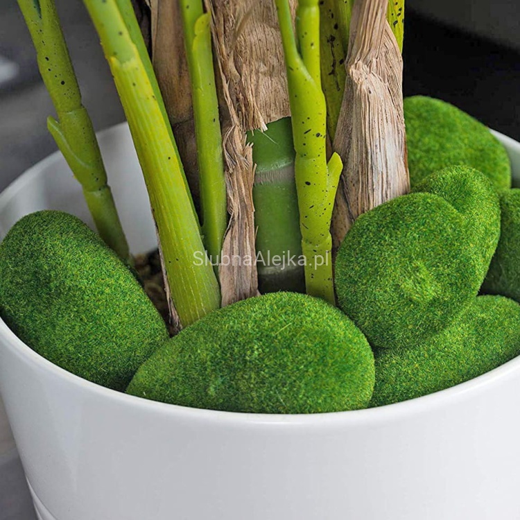 kamienie z mchu zielone 6 szt.jpg