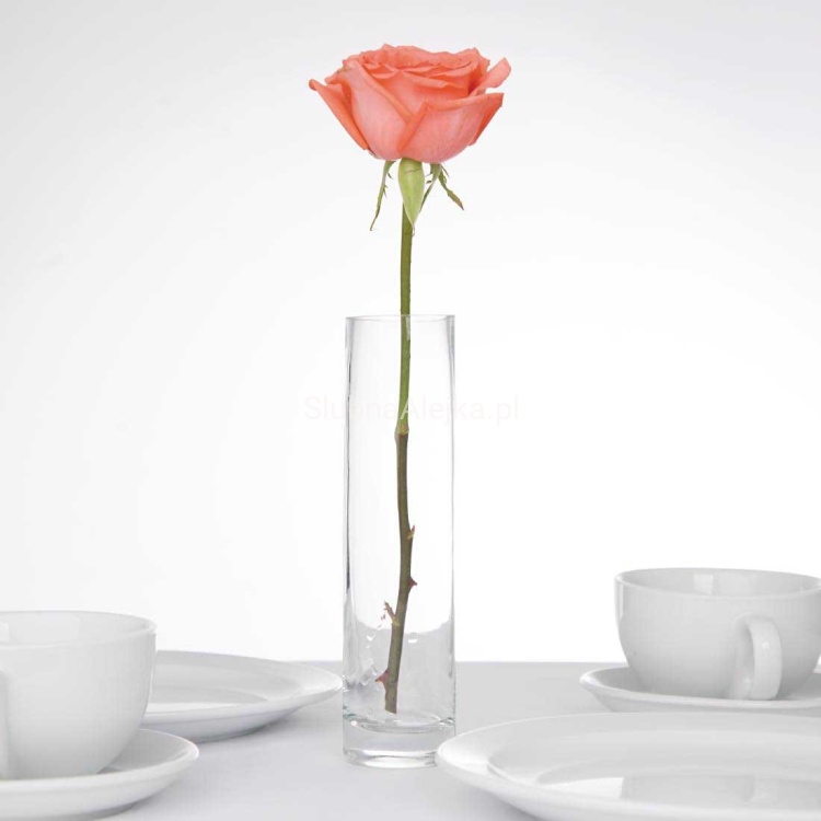 wazon szklany rurka 30 cm2.jpg