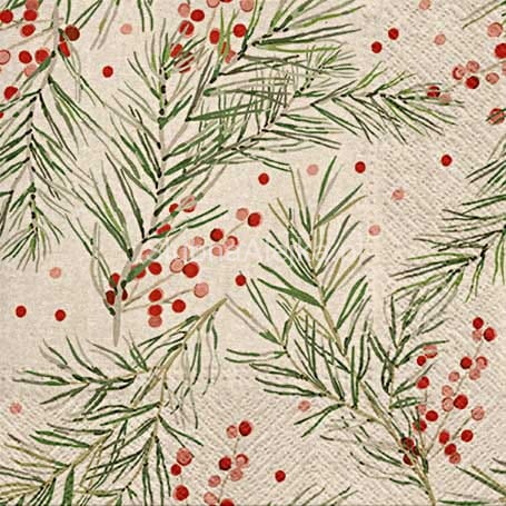 serwetki eko paw-we-care-springs-holly-20-szt.jpg