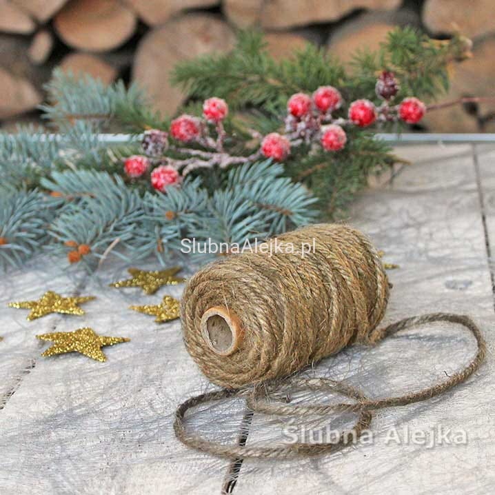 SZNUREK Z JUTY 25M.jpg