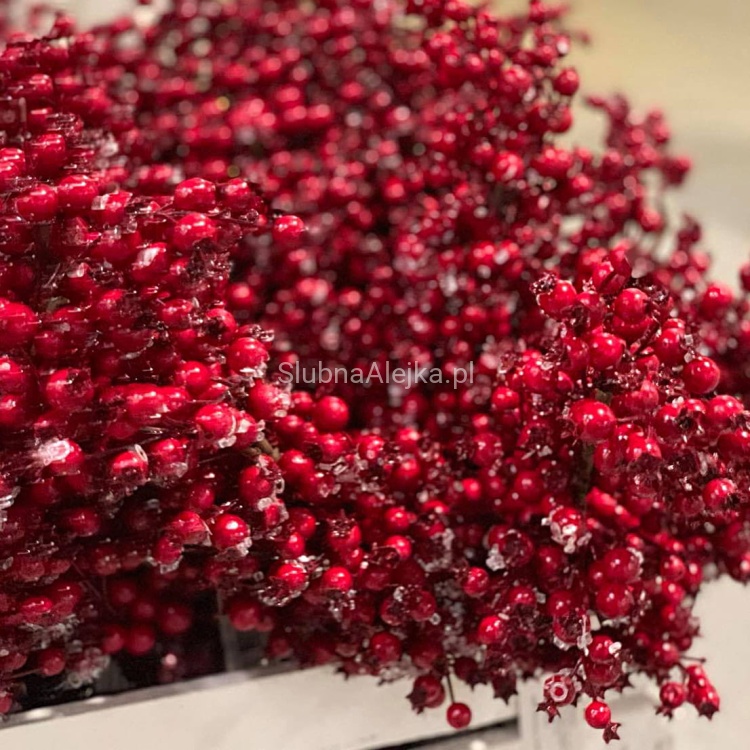 gałązka głogu.jpg