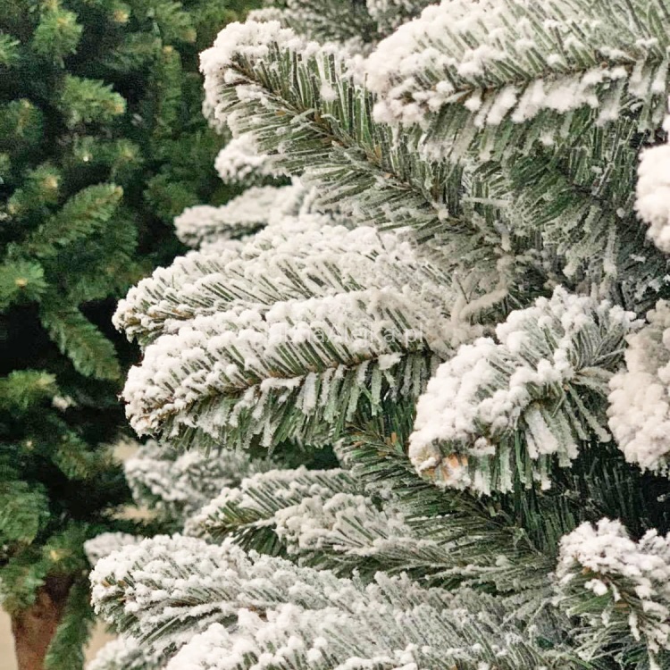 choinka na pniu snieżona jak zywa.jpg