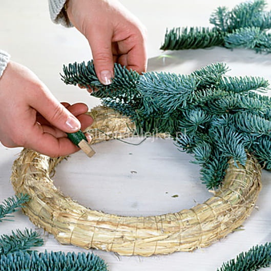 wianek ze swiezej jodły Nobilis7.jpg