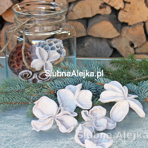 land lotus biały.jpg