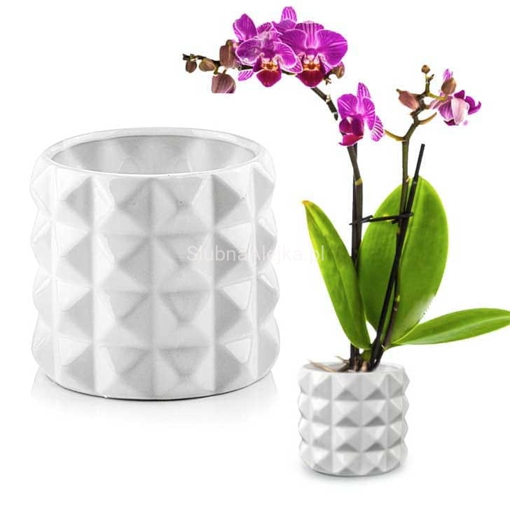 Osłonka z Ceramiki Szkliwionej Barcelona Biała ϕ 15cm.2.jpg