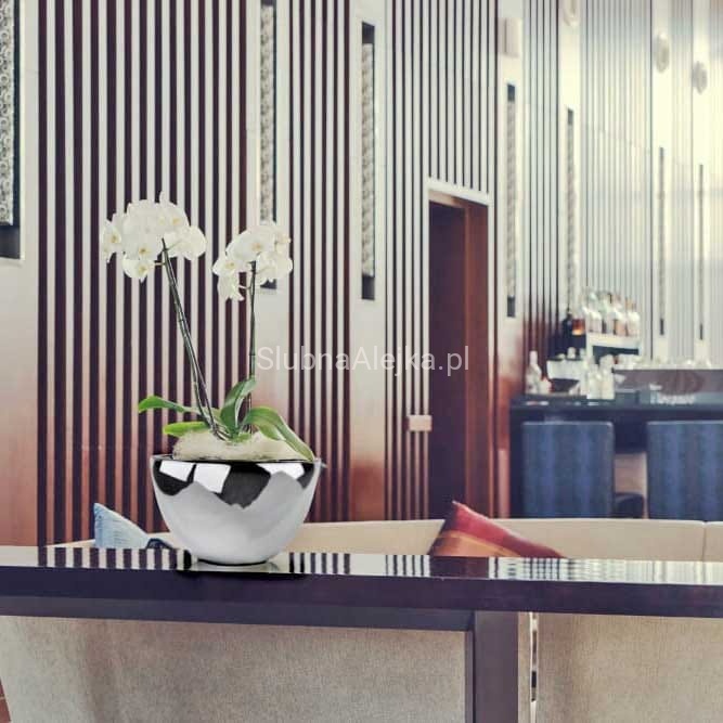 osłonka slilver moon b.jpg