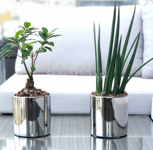 osłonka srebrny walec lustrzane srebro.jpg