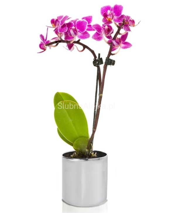 walec lustrzane srebro.jpg