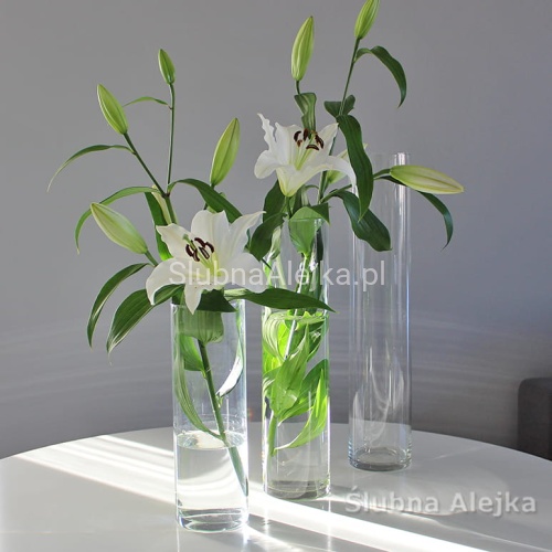 Wazon Szklany Tuba New.jpg