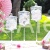 szklana-bomboniera-na-candy-bar-finezyjna2-IMG_2580n.jpg