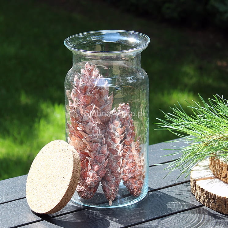 sloj szklany do aranżacji z korkiem 28 fi 15 IMG_4556.jpg