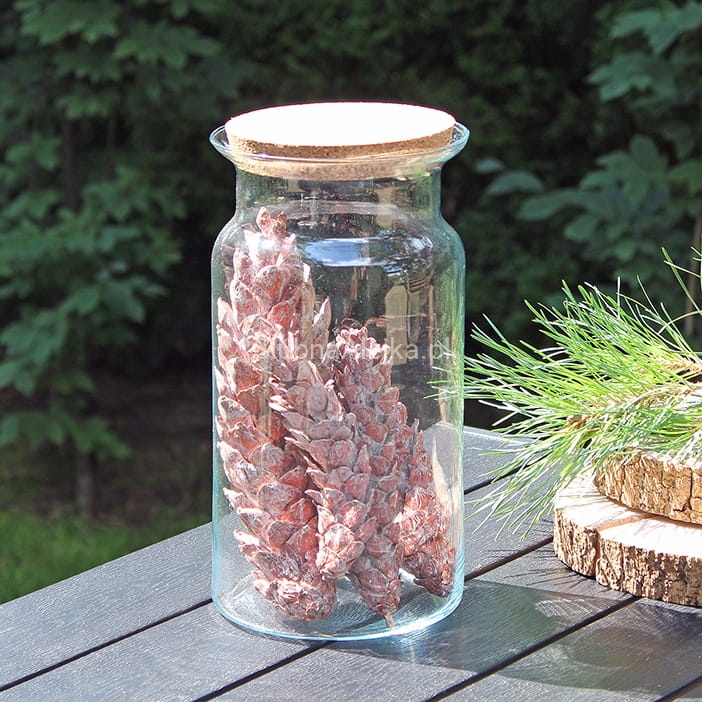 sloj szklany z korkiem 29 fi 15 IMG_4552.jpg