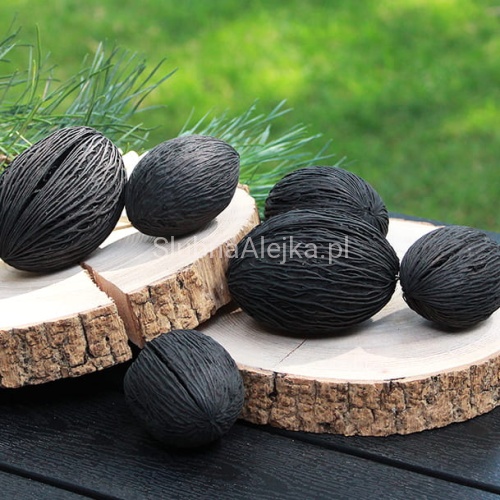 susz egzotyczny mintola czarna IMG_4841.jpg