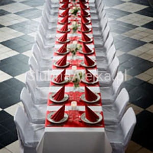 bieznik duni czerwony.jpg