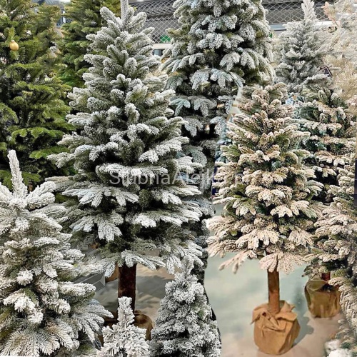 choinka swierk snieżony jak żywa n2.jpg