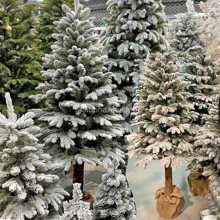 choinka swierk snieżony jak żywa n2.jpg