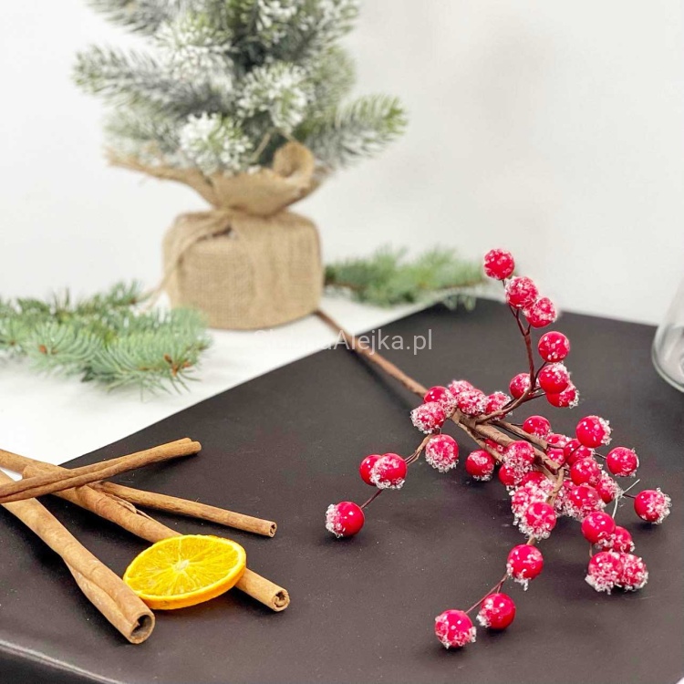 glog mrozony galązka 50 cm.jpg