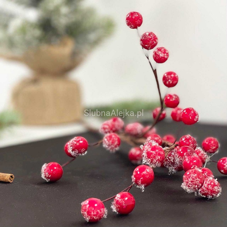 glog galazka mrozony.jpg