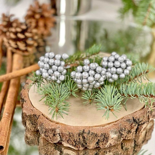 owoce lesne na piku srebrne.jpg