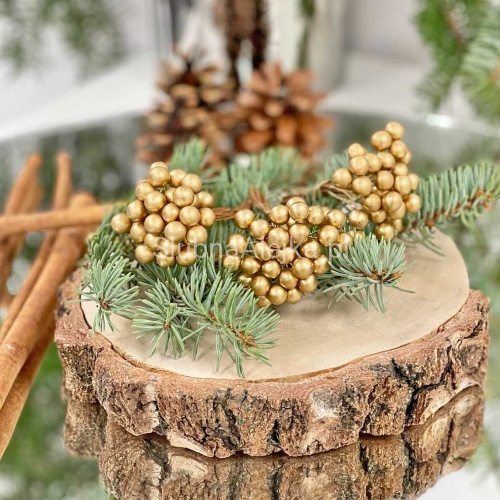 owoce na piku zlote.jpg