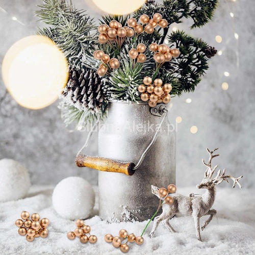 owoce leśne na piku zlote 120 szt.jpg