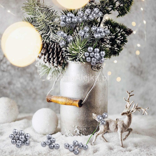 owoce leśne na piku srebrne.jpg