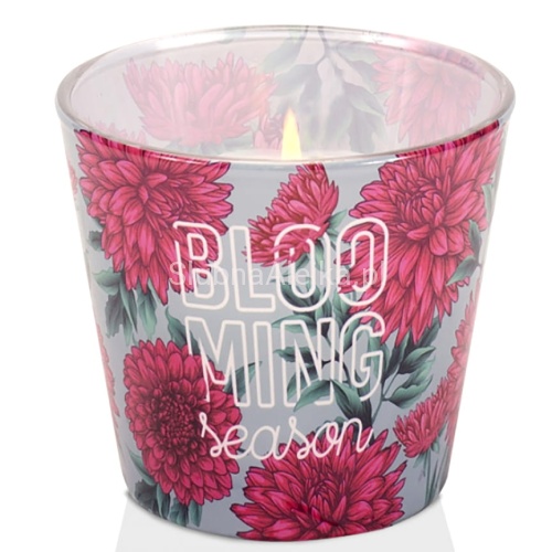 swieca bartek w szkle blooming season.jpg