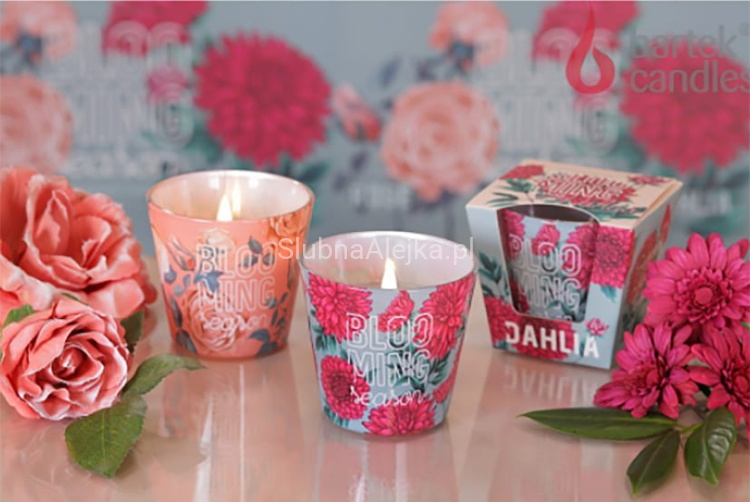 bartek w szkle blooming season dahlia.jpg