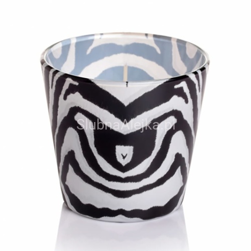 swieca bartek african wild nihgt 4.jpg