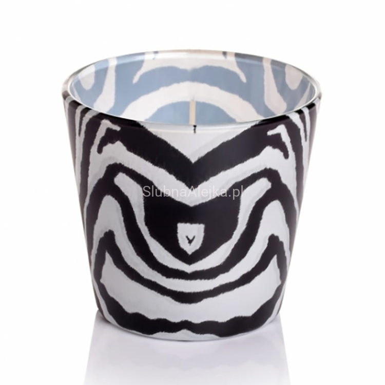 swieca bartek african wild nihgt 4.jpg