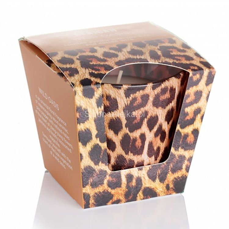 swieca bartek african lampart 2.jpg